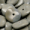 Flat Ripple Round Beads